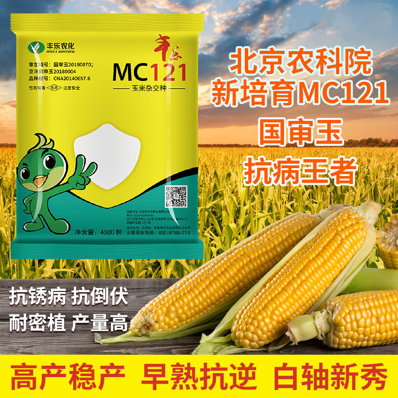 丰乐农化国审MC121玉米种杂交种子大棒抗病大田玉米原装正品,农用物资,玉米种子/种苗,淘宝优惠券,粉丝福利购,淘宝优惠卷