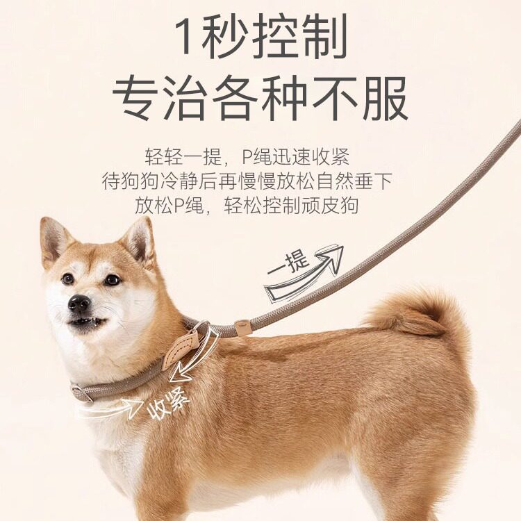 狗狗绳子防爆冲P链遛狗牵引绳防挣脱狗链子中大型犬防爆冲拴狗绳