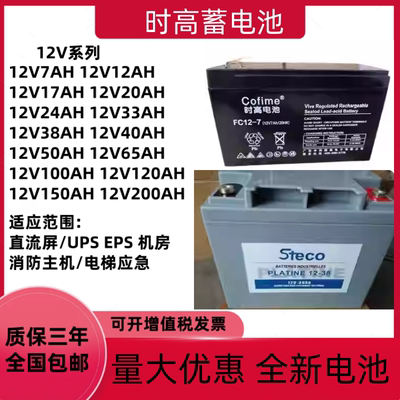 时高蓄电池PLATINE12V7AH24AH38AH65AH100AH直流屏EPSUPS电源消防