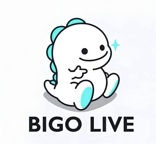 Bigo Live海外娱播公会代办港台营业执照公会挂靠全程陪跑