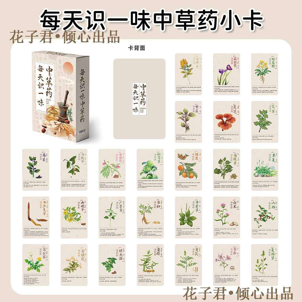 110张每天识一味中草药小卡中医药草本植物科普常识图文详解小卡