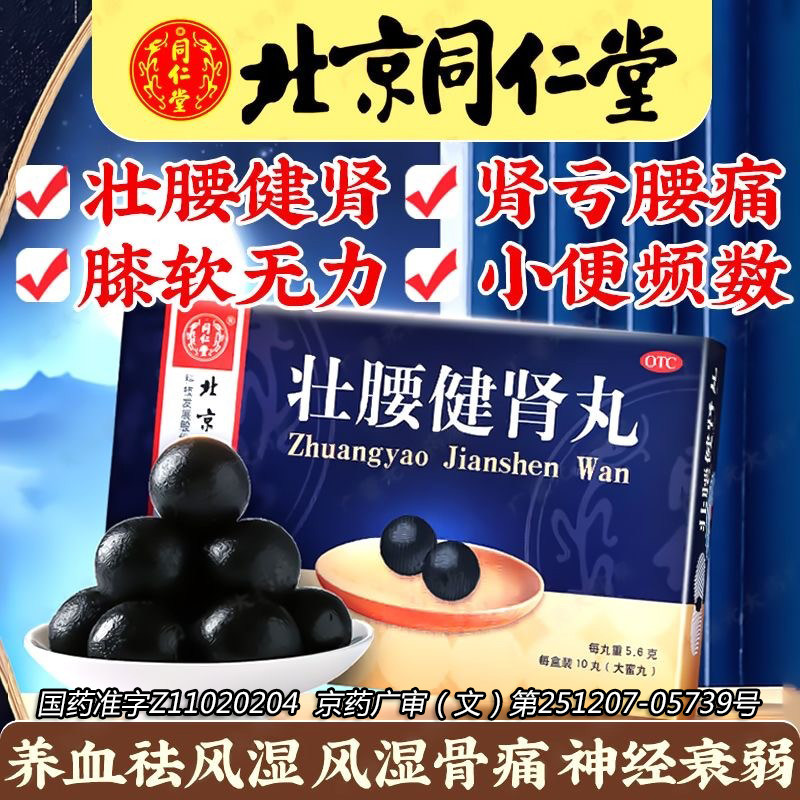 【同仁堂】壮腰健肾丸5.6g*10丸/盒神经衰弱养血风湿骨痛腰痛壮腰健肾