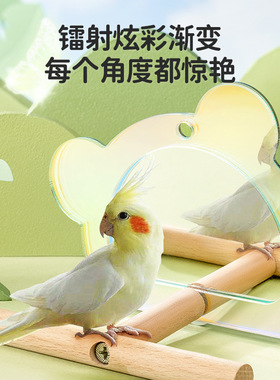 鹦鹉桌面展架炫彩亚克力文鸟牡丹玄凤站杆训练专用镜子站台ZOOLIN