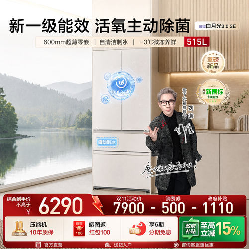 lonCycle活氧主动除菌 60CM零嵌 自清洁制冰