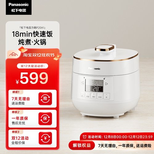 松下新品家用迷你电压力锅无水炖