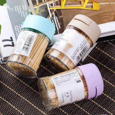 009 Flip-Top New Style Toothpick Bottle, Modern and Minimali