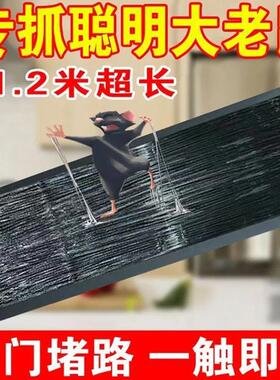 Powerful Sticky Mouse Trap Glue Board, Effective Rat Catchin