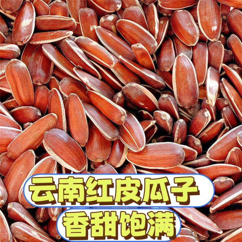 云南特产红皮生瓜子2025年新货香甜高原带壳水果葵花籽原味零食