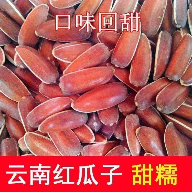 云南红皮瓜子新货生葵花籽带壳大颗粒自种散装原味甜糯