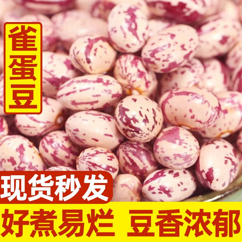 新货云南雀蛋豆子奶花芸豆圆粒红花孔雀豆芙蓉豆五谷杂粮奶花豆