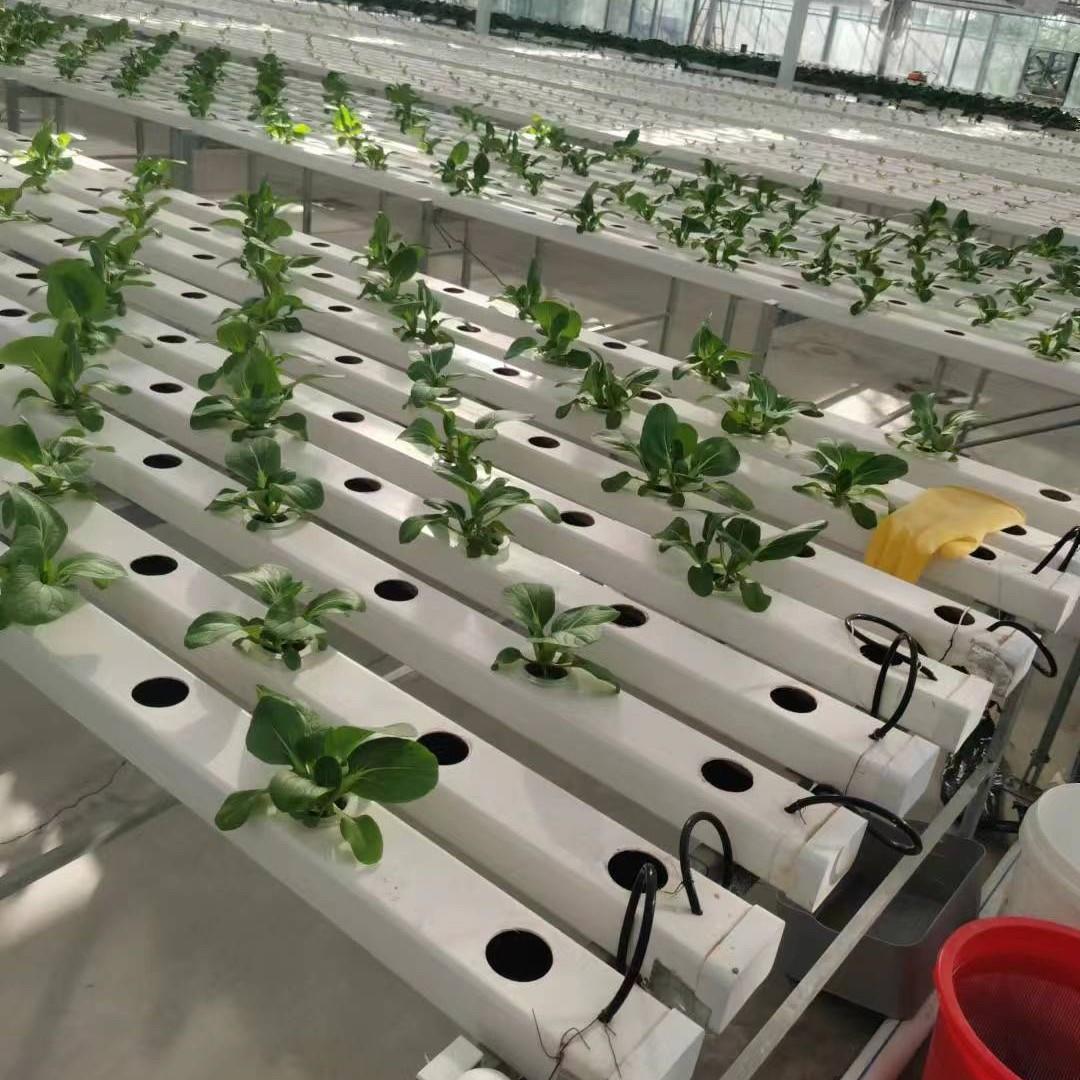 无土栽培设备水管道式蔬菜UAM瓜果型种植培架菜蔬立体种A植槽