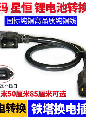铁塔转换插头爱玛光宇锂电池转换线纯铜充电桩电动车充电器转接头