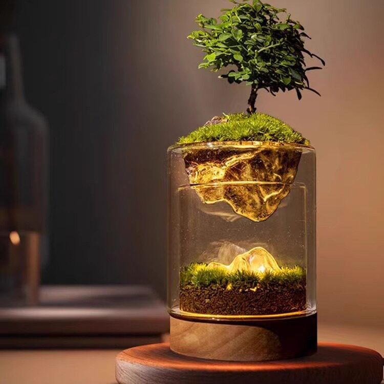 【有光青年】苔藓微景观创意植物小夜灯摆件房间办公室装饰可定制
