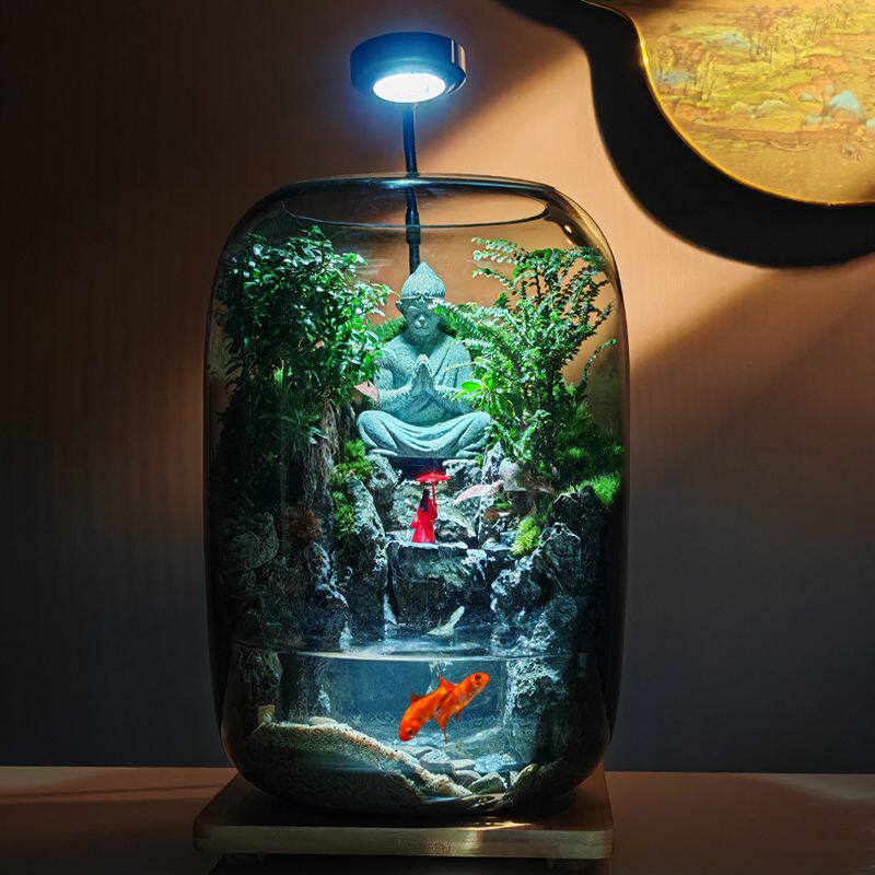 养鱼缸流水款苔藓微景观创意桌面生态瓶摆件造景办公室植物绿植物