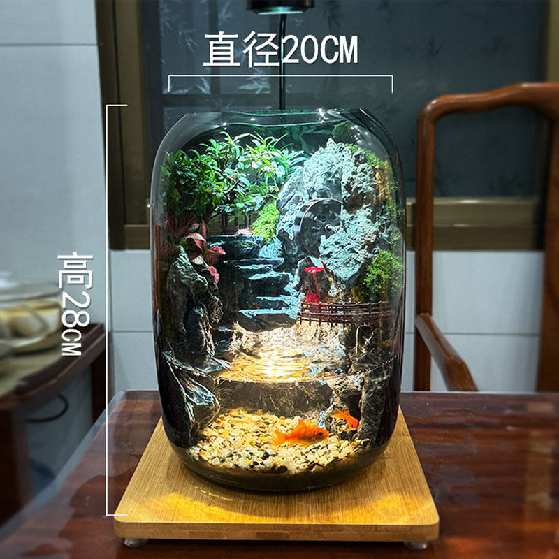 流水养鱼高端送礼物创意桌面生态瓶苔藓微景观摆件造景办公室绿植