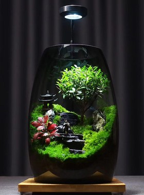 步步高升桌面苔藓微景观生态瓶黑神话悟空盆栽创意摆件办公室植物