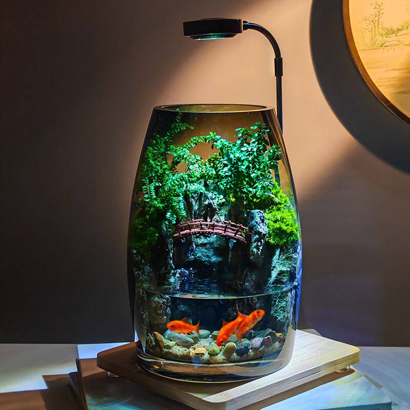 养鱼缸生态微景观苔藓办公室桌面微景观绿植盆景生态瓶缸绿植造景