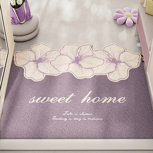 入户门地垫丝圈脚踏垫小清新防滑