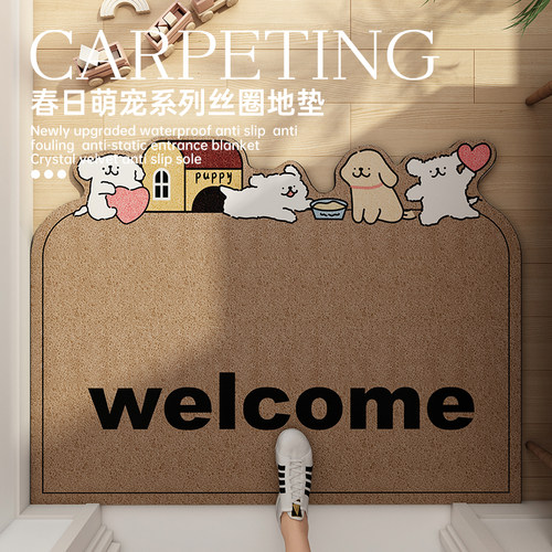 锦汐丝圈地垫进户门地毯家用垫子