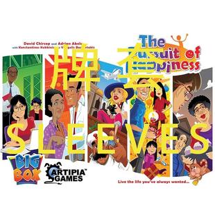 牌套: 追求幸福人生：大盒版20丝磨砂牌套