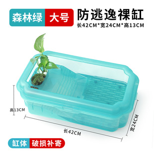 龟缸造景生态全套专用玻璃乌龟缸养龟箱大型换水饲养巴西龟鱼缸斗