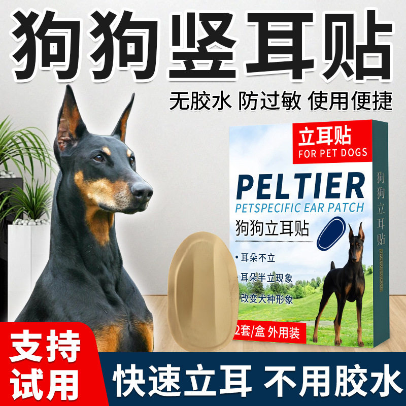 土松犬专用立耳胶带立耳贴狗狗竖耳立耳神器小型犬辅助耳朵固定器