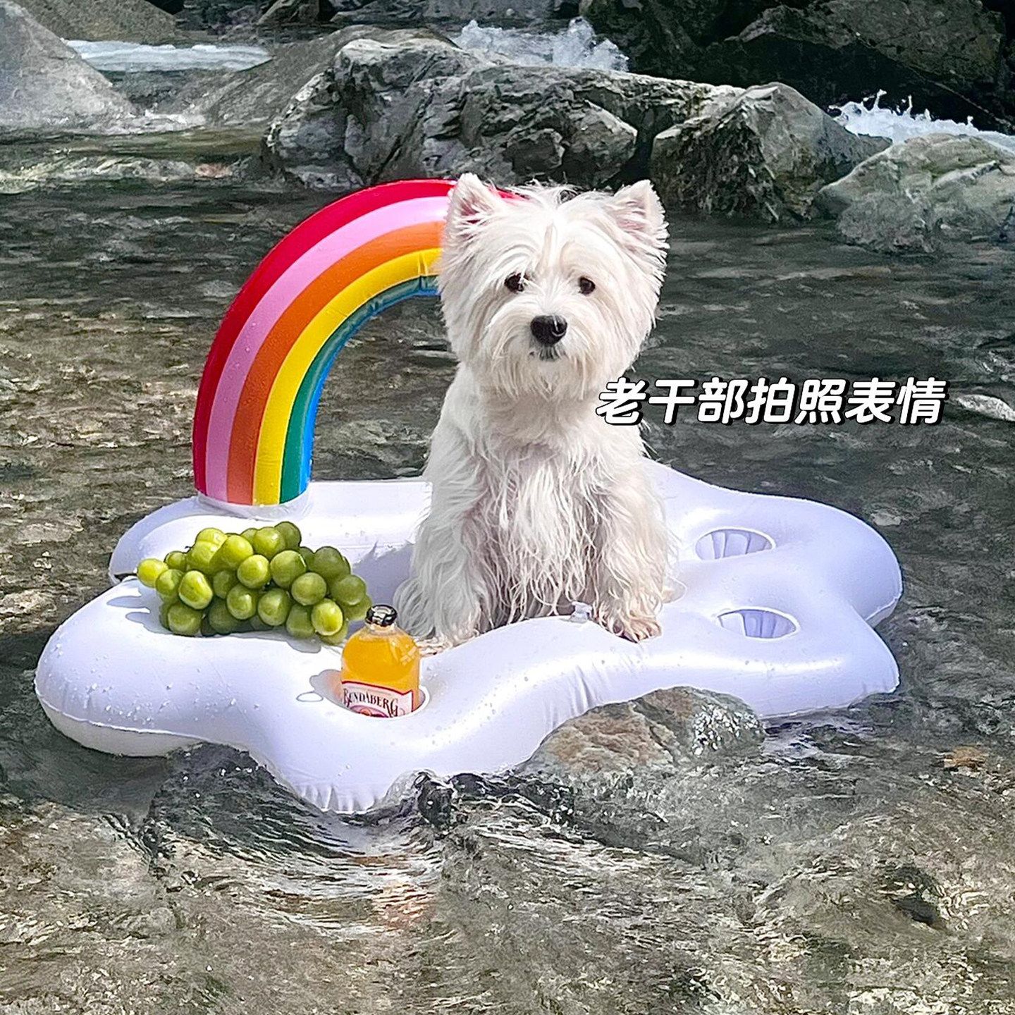 狗狗游泳圈水上玩具加厚PVC充气床夏日户外游玩便携宠物小狗浮床