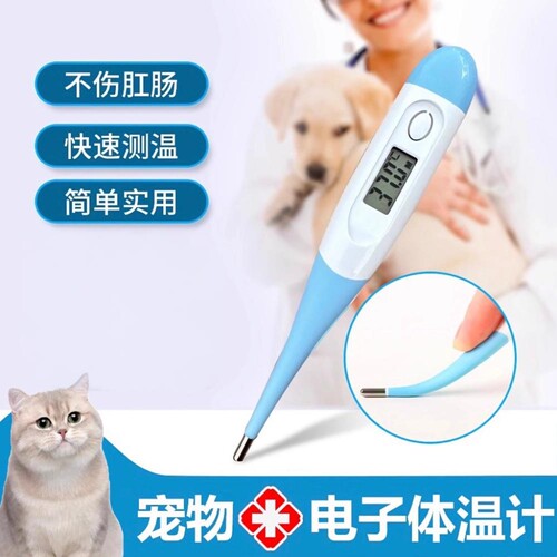 宠物体温计猫咪狗狗温度计兽用肛门电子体温表猫咪小狗感冒测体温