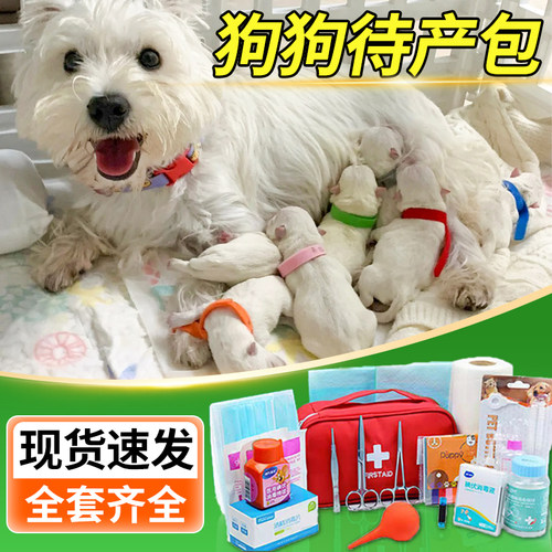 狗狗待产包宠物怀孕备产接生工具用品套装全套脐带剪吸羊水器产房