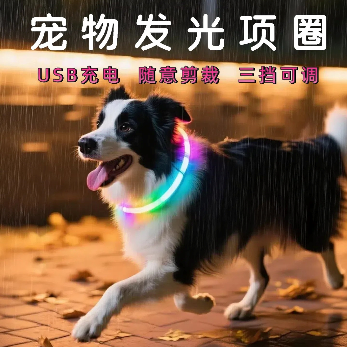 狗狗发光项圈夜间遛狗宠物防走失夜光脖圈脖套项链发亮充电小型犬