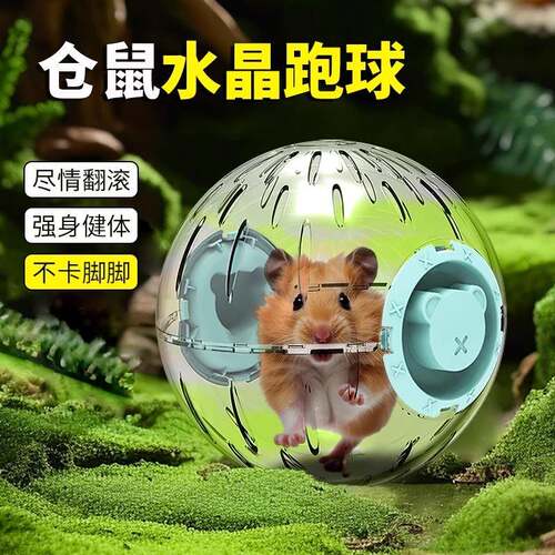 仓鼠跑轮解闷玩具自嗨静音金丝熊跑球用品大空间跑步轮滚球不卡脚