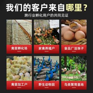 .孵化机孵化器全自动大型智能家用中型孵蛋器鸡鸭鹅养殖小型孵化