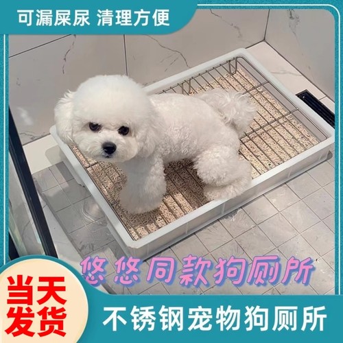 自制diy加高不锈钢狗厕所