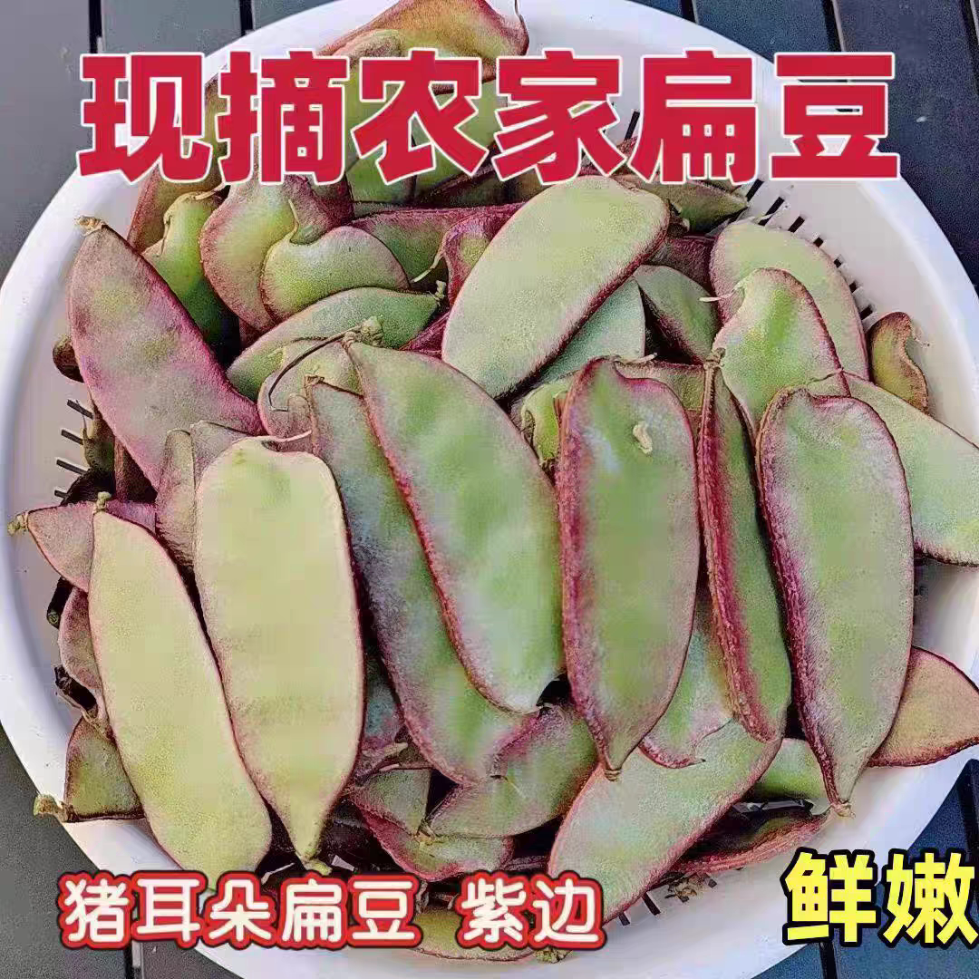 贵州新鲜扁豆紫扁豆角红扁豆现摘现发猪耳朵峨眉豆架豆红刀豆绿色