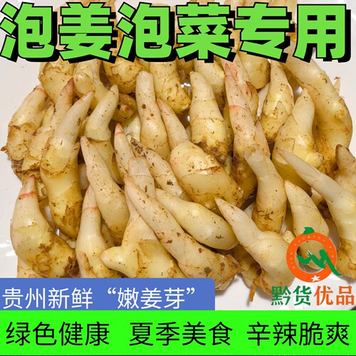 【新鲜嫩姜芽】糖醋酸辣手工农家腌制开胃新鲜泡菜泡姜食用生姜