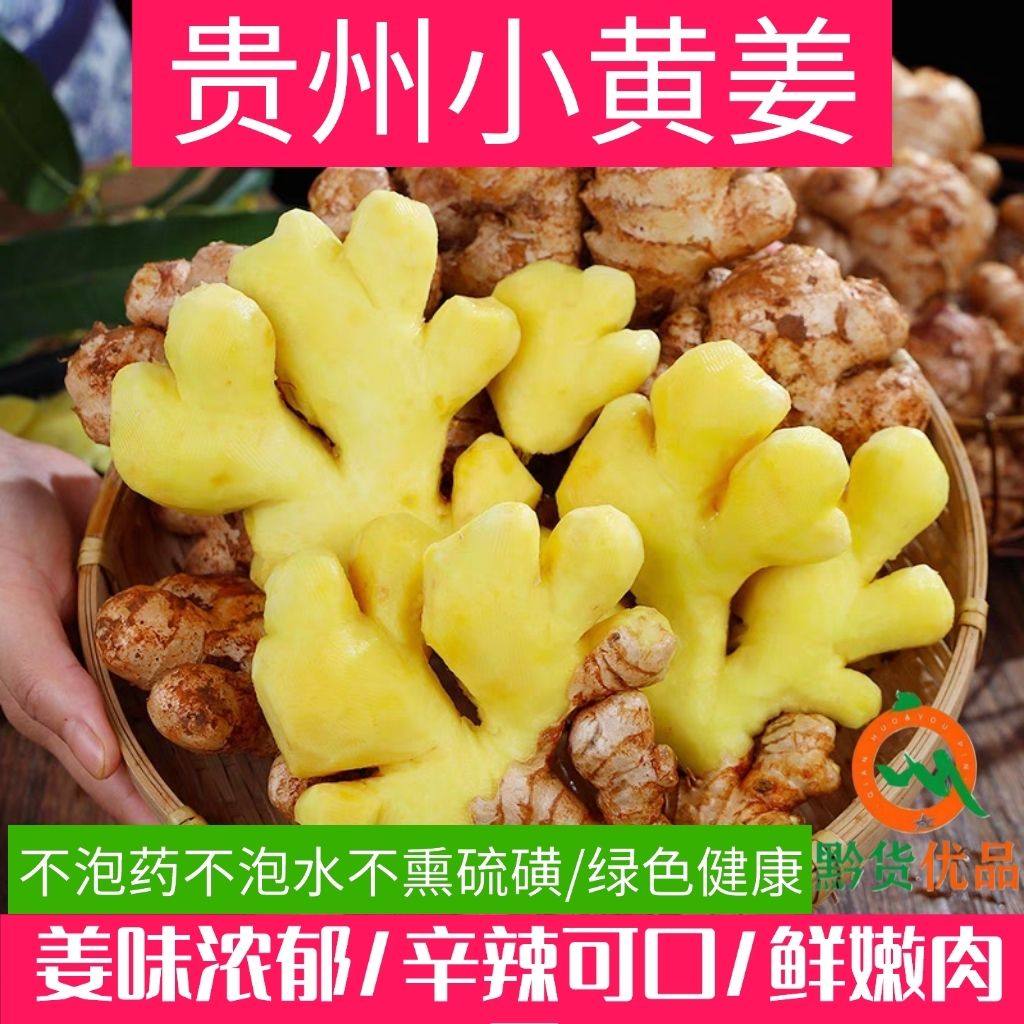 正宗小黄姜新鲜现挖今年老姜辛辣