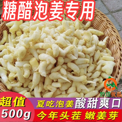 【新鲜嫩姜芽】糖醋酸辣手工农家腌制开胃泡传统菜泡姜食用生姜牙