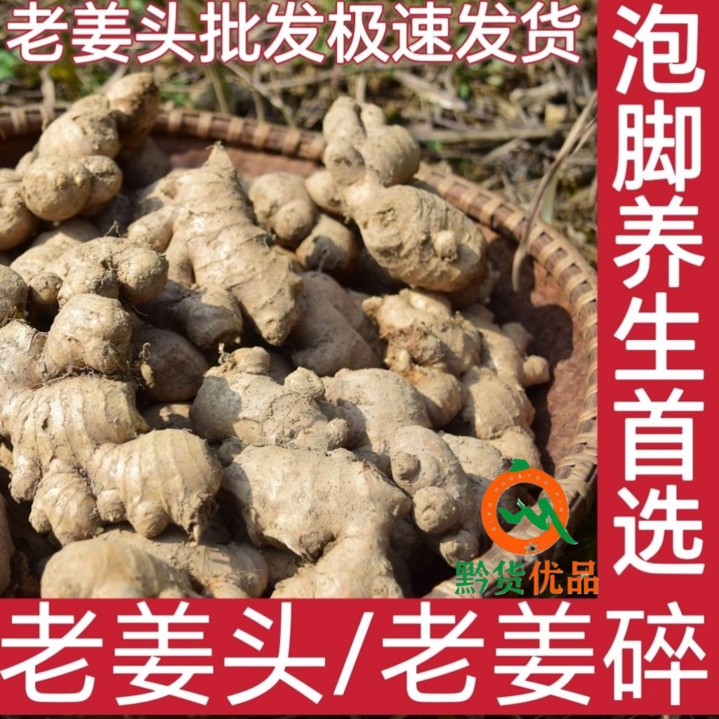 正宗两年老母姜最老最辣养生泡姜