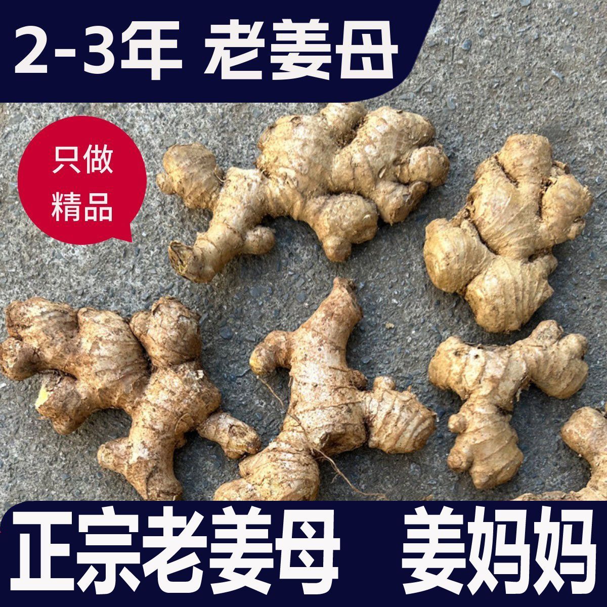 贵州2年老母姜农家生姜老姜头老黄姜入药月子泡脚姜针灸养生专用