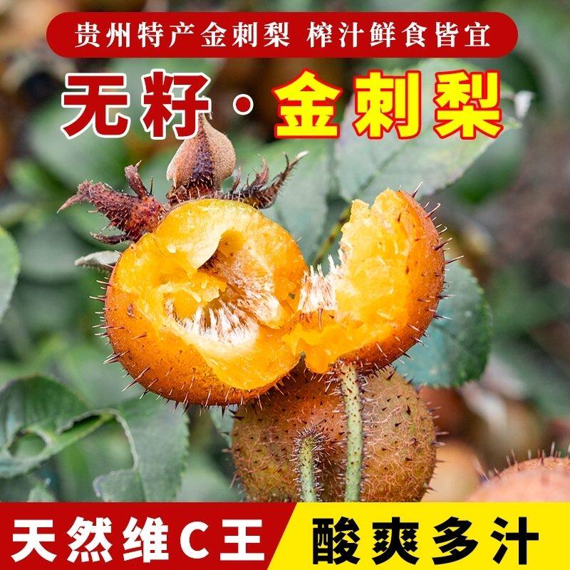 贵州无籽金刺梨新鲜果子现摘泡酒水果泡水榨汁健康维C丰富应季