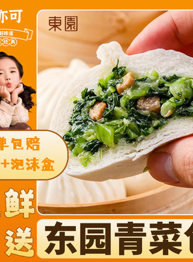 东园笋丁青菜包子素菜鲜肉大馒头营养懒早餐人冷冻速食半成品面点
