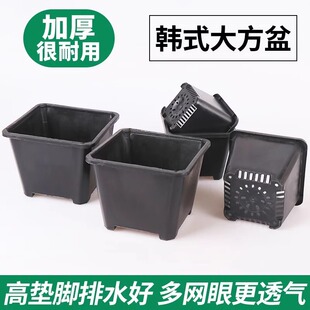 多肉花盆景天小方盆塑料小黑方加厚育苗控根盆花卉绿植鲜花简约盆