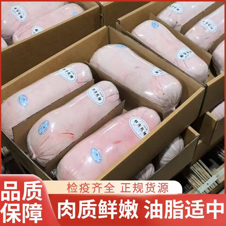 新鲜乳猪整只脆皮烤乳猪现杀冷冻乳猪小香猪酒店烧烤专用生鲜食材