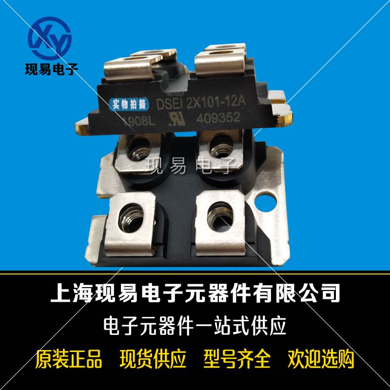 DSEI2X61-06A/12A DSEI2X101-06A/12A BYT260/261PIV800 功率模块