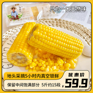 郭老丈鲜食黄糯玉米段低脂代餐东北延边5斤肥即食减真空新鲜玉米