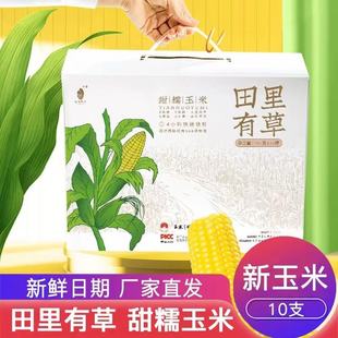 田里有草甜糯玉米正宗东北吉林大苞米整箱鲜食营养粗粮早餐旗舰店