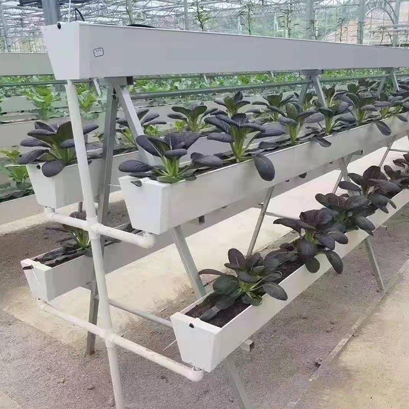 室无土培SYS系统立体水栽营养种培植槽无土栽培种植槽水培温槽