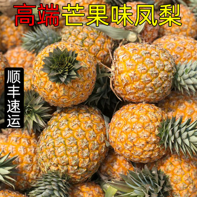 芒果凤梨海南台农23号金芒凤梨