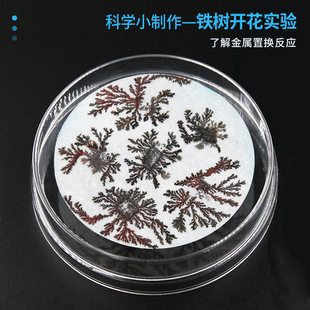 铁树开花科学实验儿童手工diy科技小制作学生化学材料包益智玩具