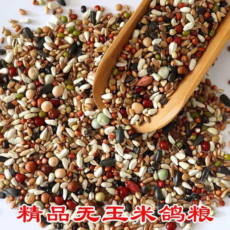 精品鸽粮有玉米无鸟食饲